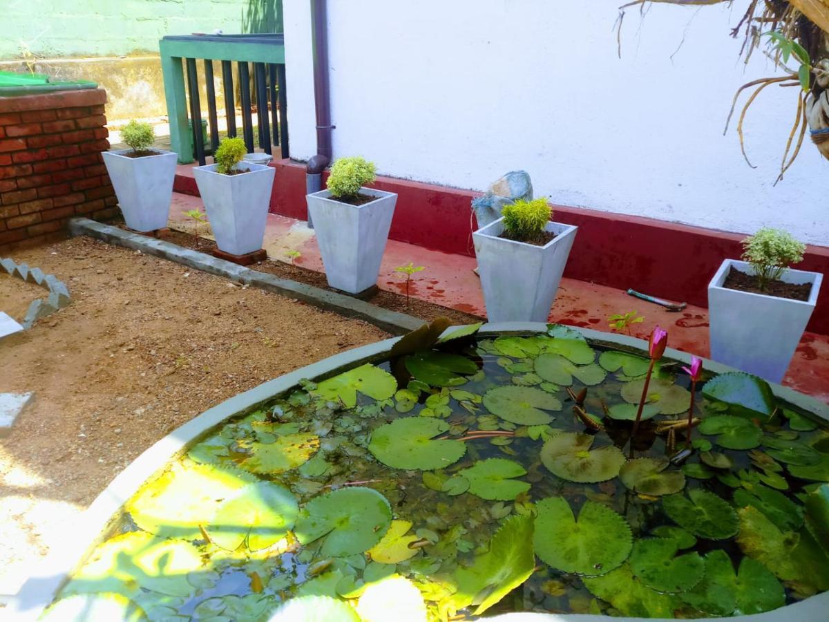 Guesthouse Panorama Beruwala Ngoại thất bức ảnh