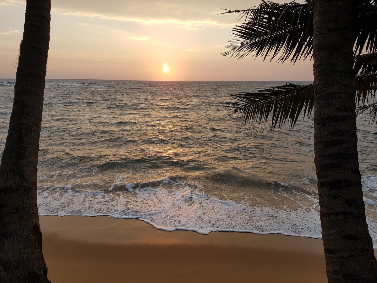 Guesthouse Panorama Beruwala Ngoại thất bức ảnh